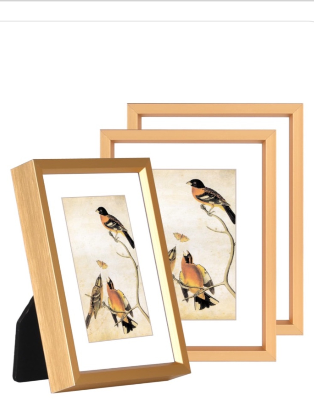 Mini Gold Aluminum Picture Frames with Mat Glass Front 3x4” (3-pack)
